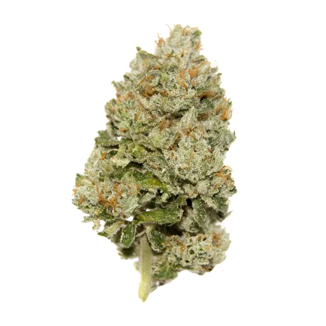 Lemon Zkittlez Auto Autoflower by Growers Choice