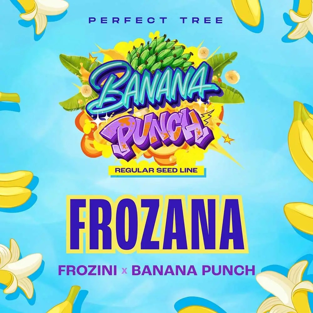 Frozana Regular by Perfect Tree