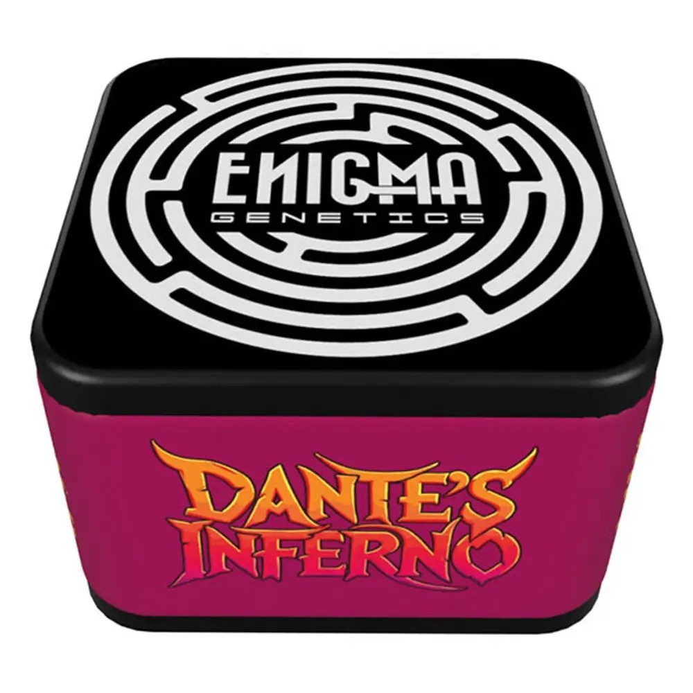 Dante´s Inferno Feminized by Enigma Genetics