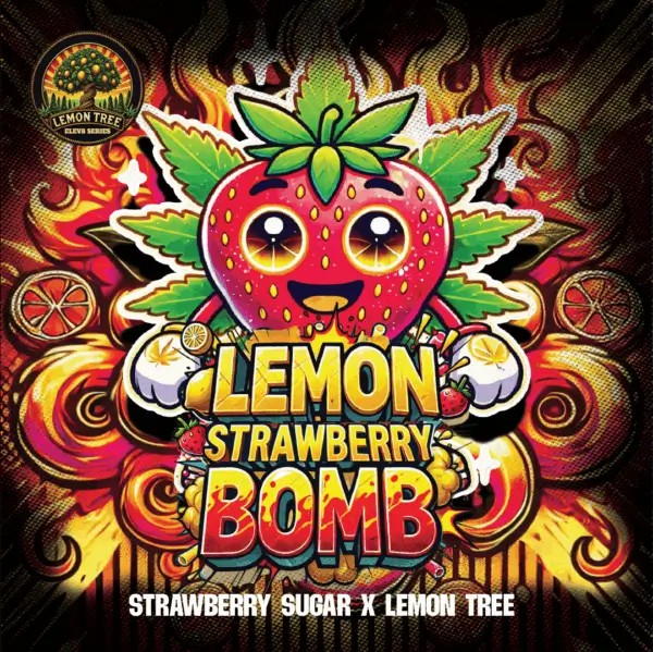 Lemon Strawberry Bomb Feminized by Elev8 Seeds