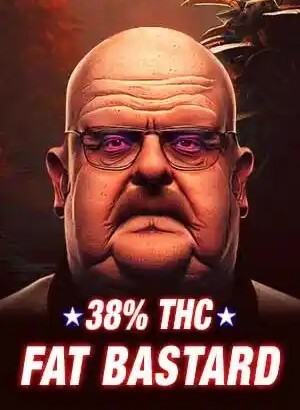 Fat Bastard Feminized by Blimburn Seeds