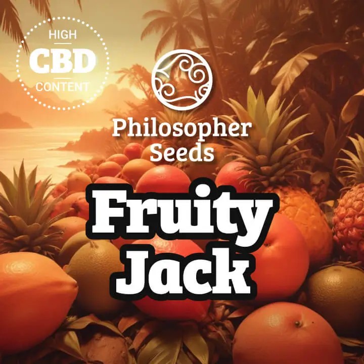 Fruity Jack Feminized by Philosopher Seeds