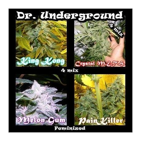 Killer Mix Feminized by Dr. Underground Seeds