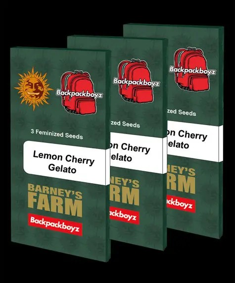 Lemon Cherry Gelato Feminized by Barneys Farm