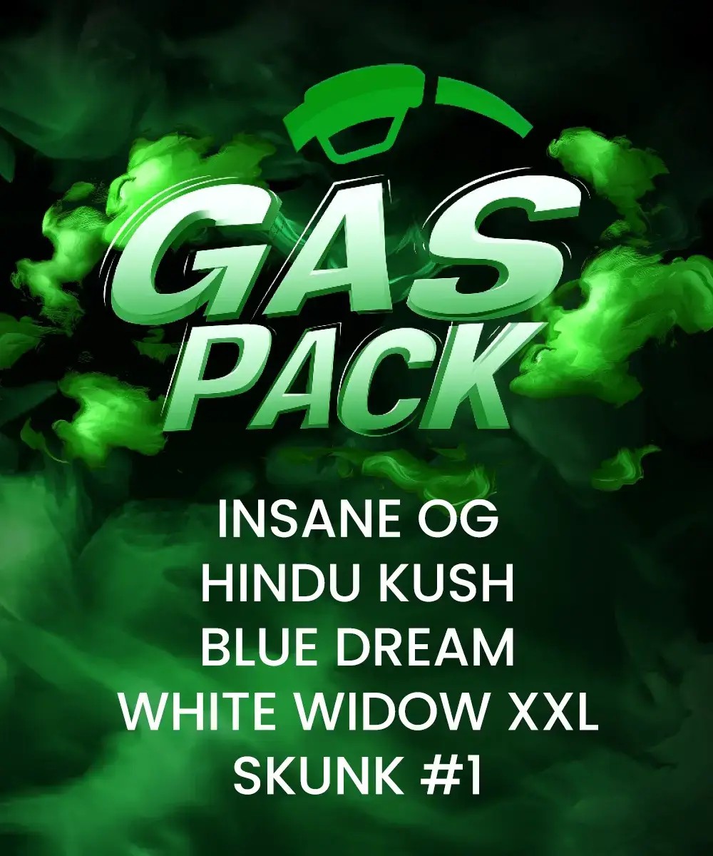 Gas Pack Feminized by Barneys Farm