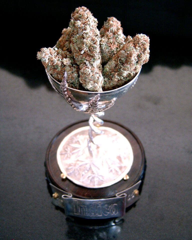 Lavender Regular by Soma Seeds