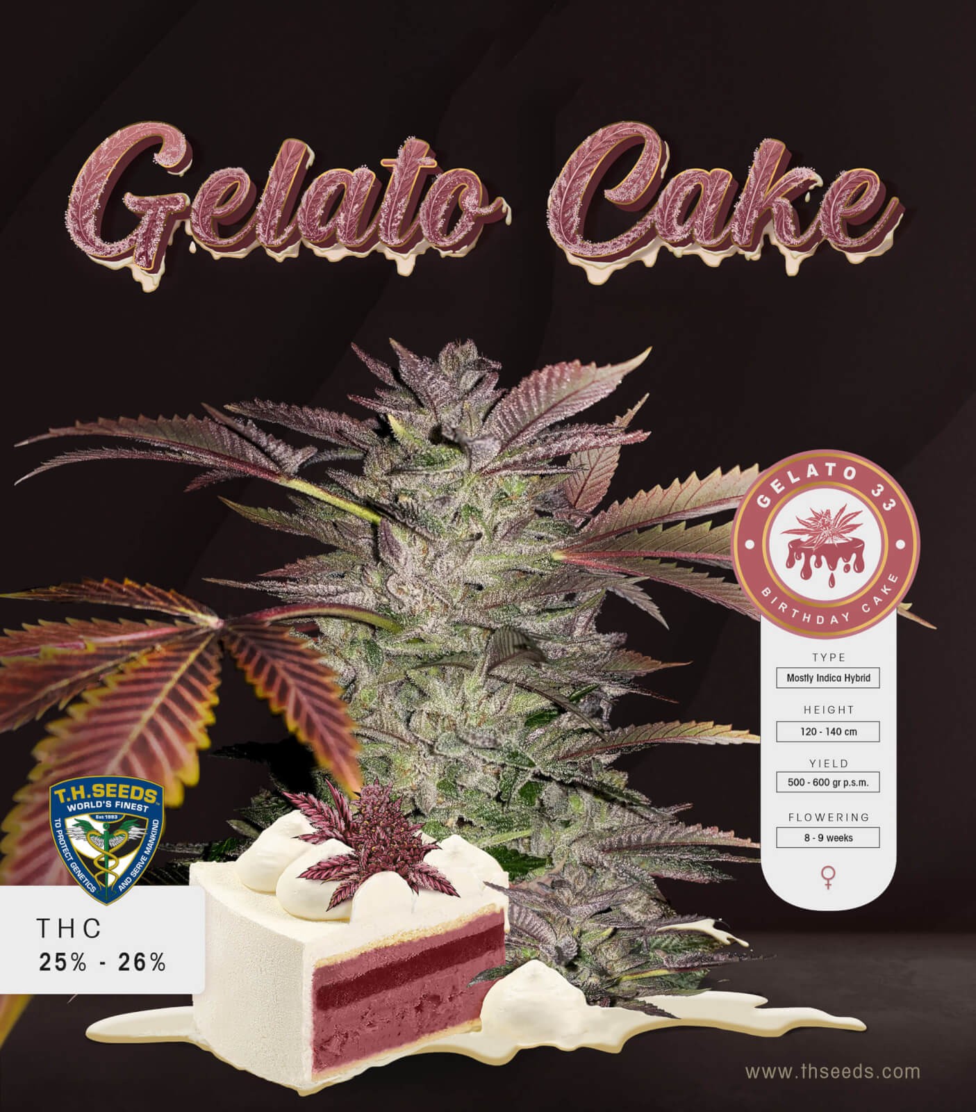 Gelato Cake Feminized by T.H. Seeds
