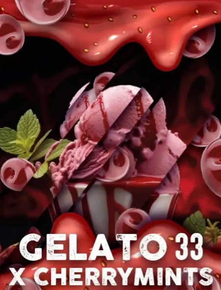 Gelato Cherry Feminized by Tramuntana Seeds