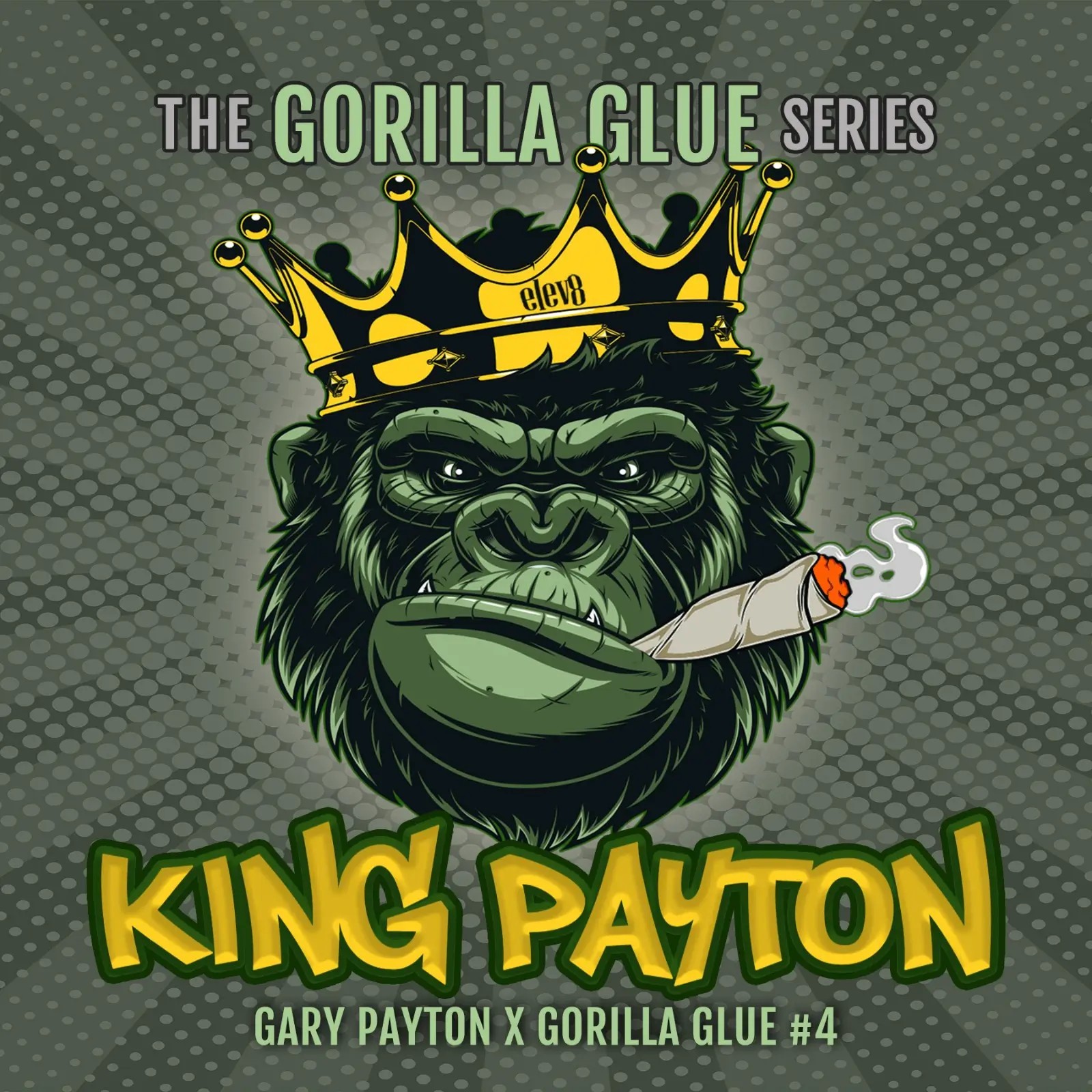 King Payton Feminized by Elev8 Seeds