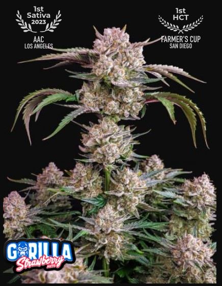 Strawberry Gorilla Auto