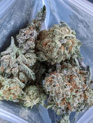 Auto Stardawg (bulk available)