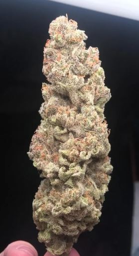 Auto Girl Scout Cookies S1 60 days!