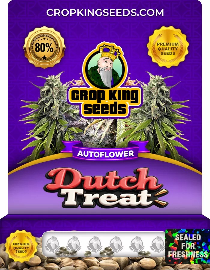 Dutch Treat Autoflower Marijuana Seeds