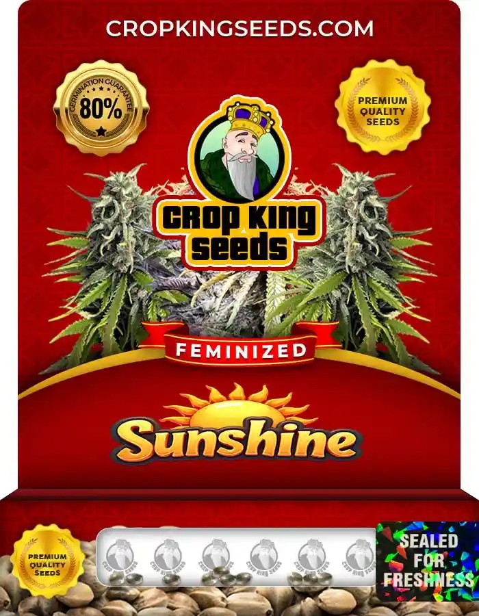 Sunshine Strain Feminized Marijuana Seeds