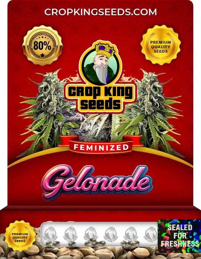 Gelonade Strain Feminized Marijuana Seeds