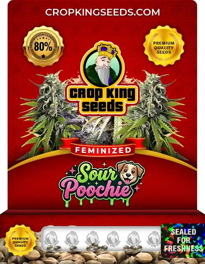 Sour Poochie Strain Feminized Seeds