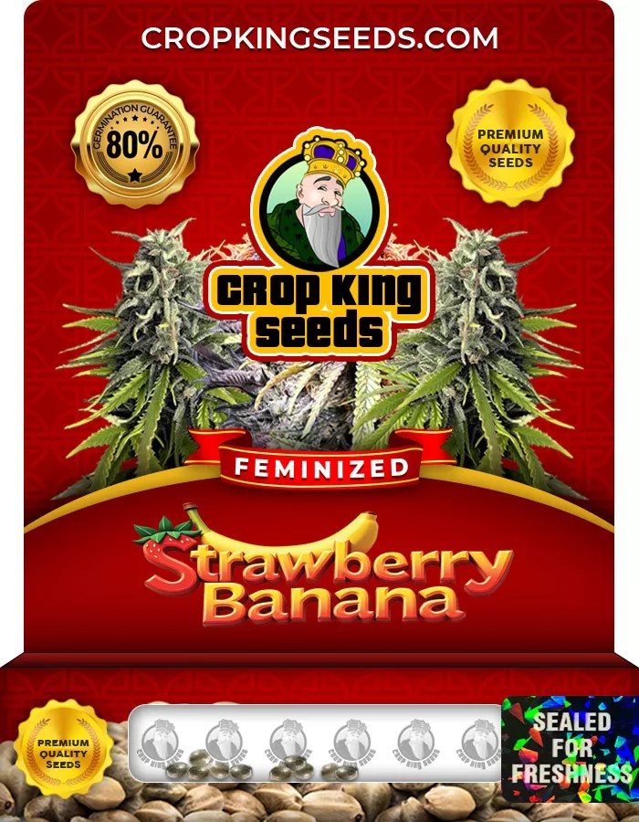 Strawberry Banana Strain Feminized Marijuana Seeds