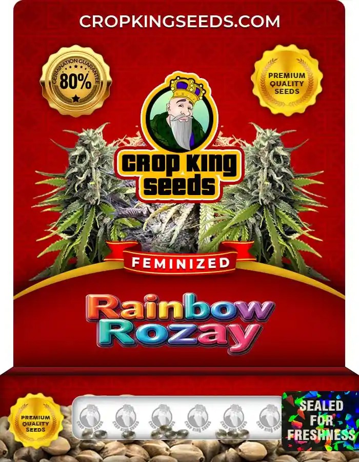 Rainbow Rozay Strain Feminized Marijuana Seeds