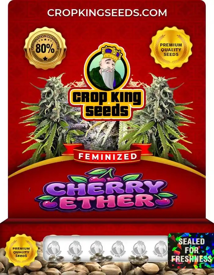Cherry Ether Strain Feminized Seeds