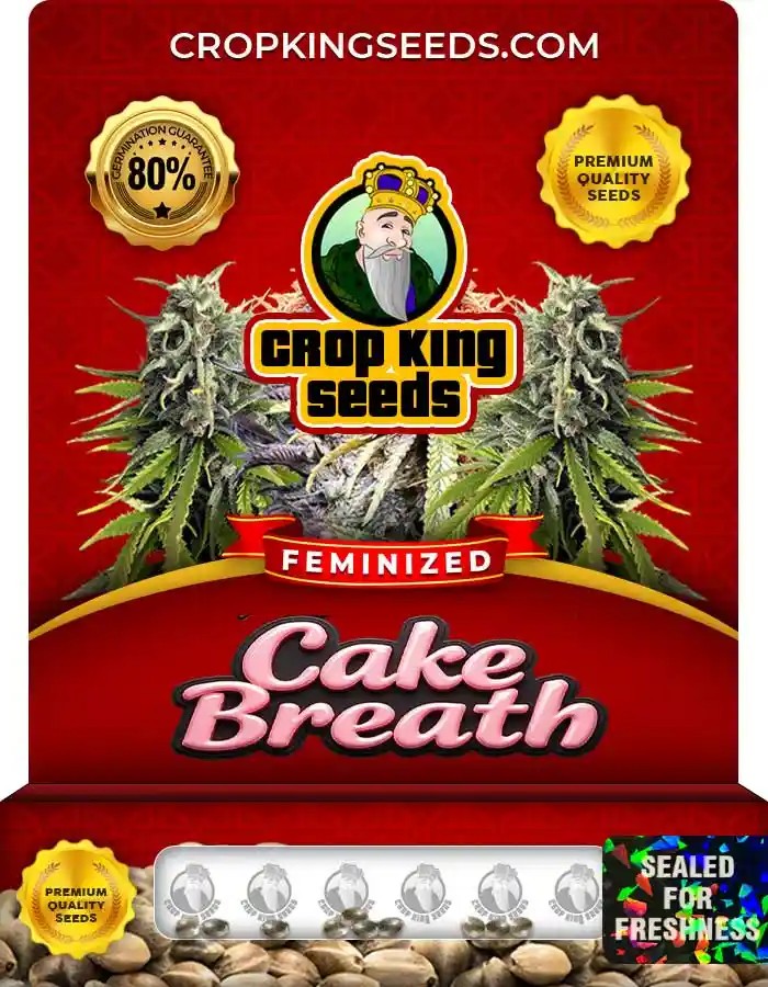 Cake Breath Strain Feminized Marijuana Seeds