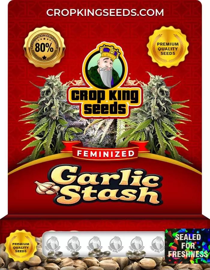 Garlic Stash Feminized Seeds