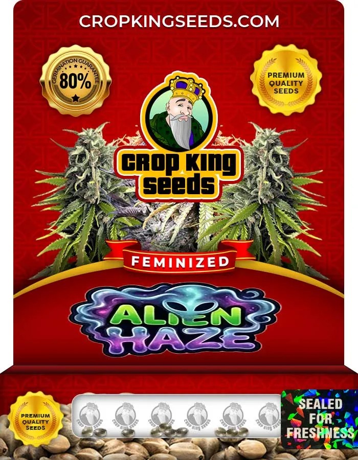 Alien Haze Strain Feminized Seeds