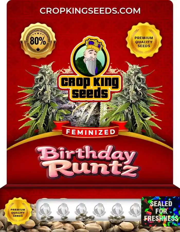 Birthday Runtz Feminized Seeds