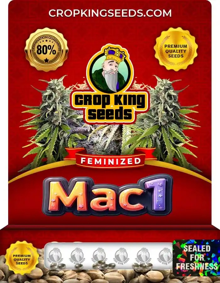 Mac 1 Strain Feminized Marijuana Seeds