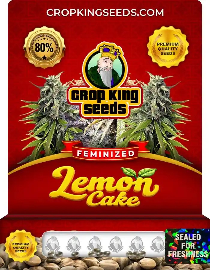 Lemon Cake Strain Feminized Marijuana Seeds