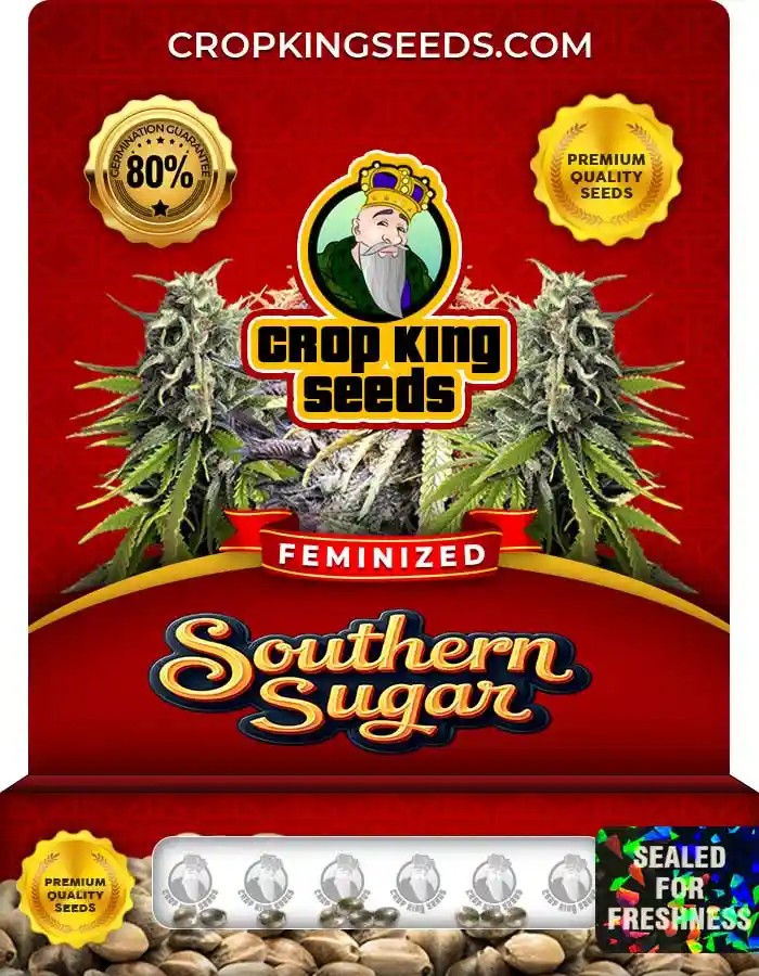 Southern Sugar Strain Feminized Marijuana Seeds