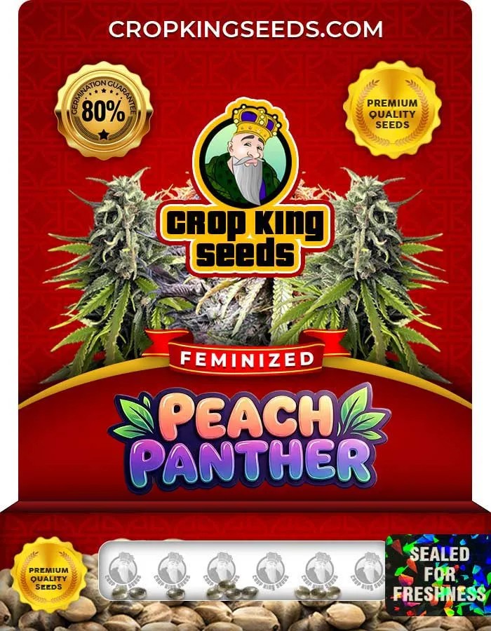 Peach Panther Strain Feminized Seeds