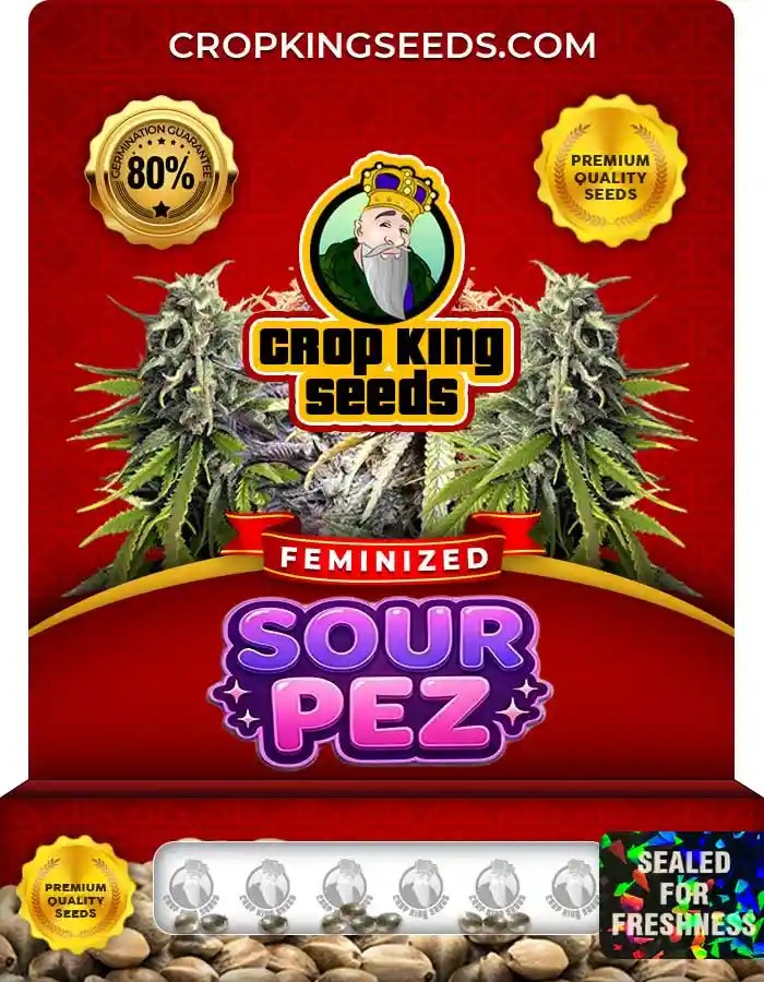 Sour Pez Feminized Seeds