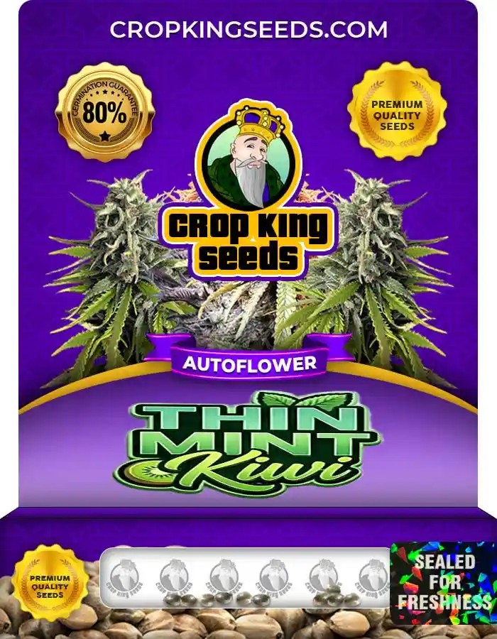 Thin Mint Kiwi Autoflower Seeds