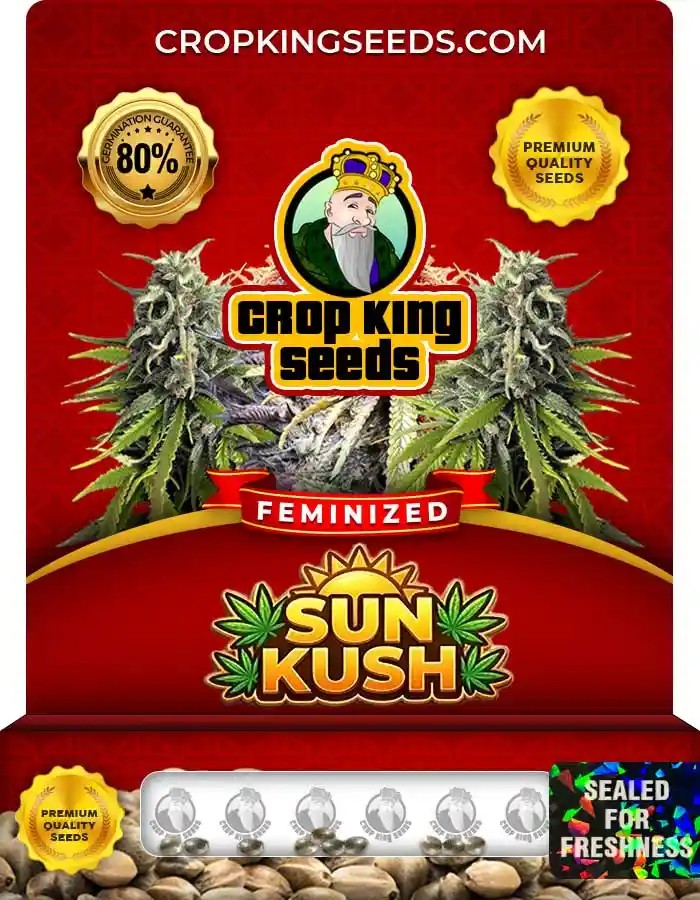 Sun Kush Feminized Marijuana Seeds