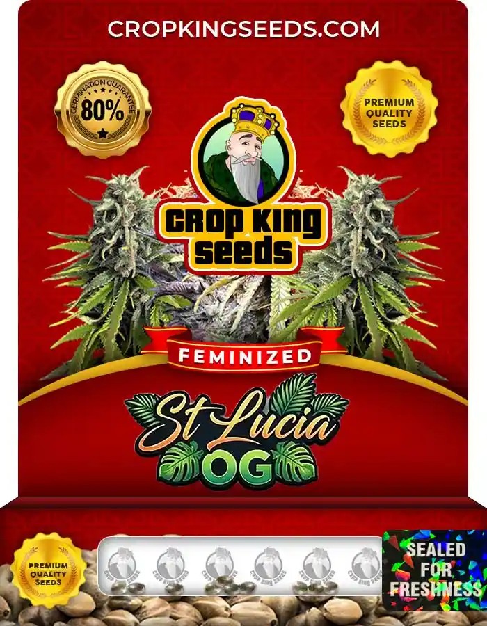 St Lucia OG Feminized Seeds