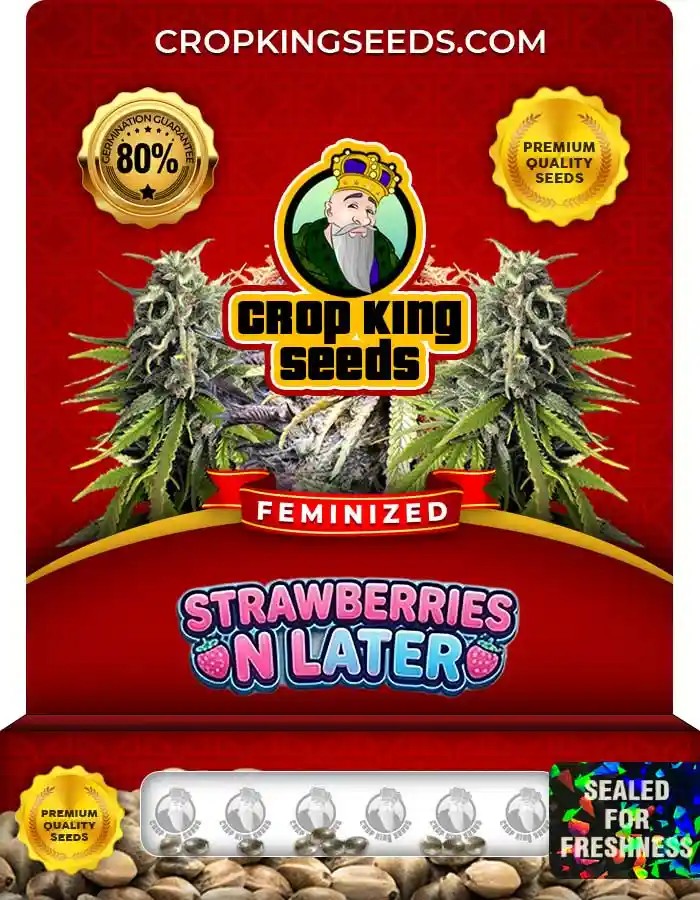 Strawberries N Later Feminized Seeds