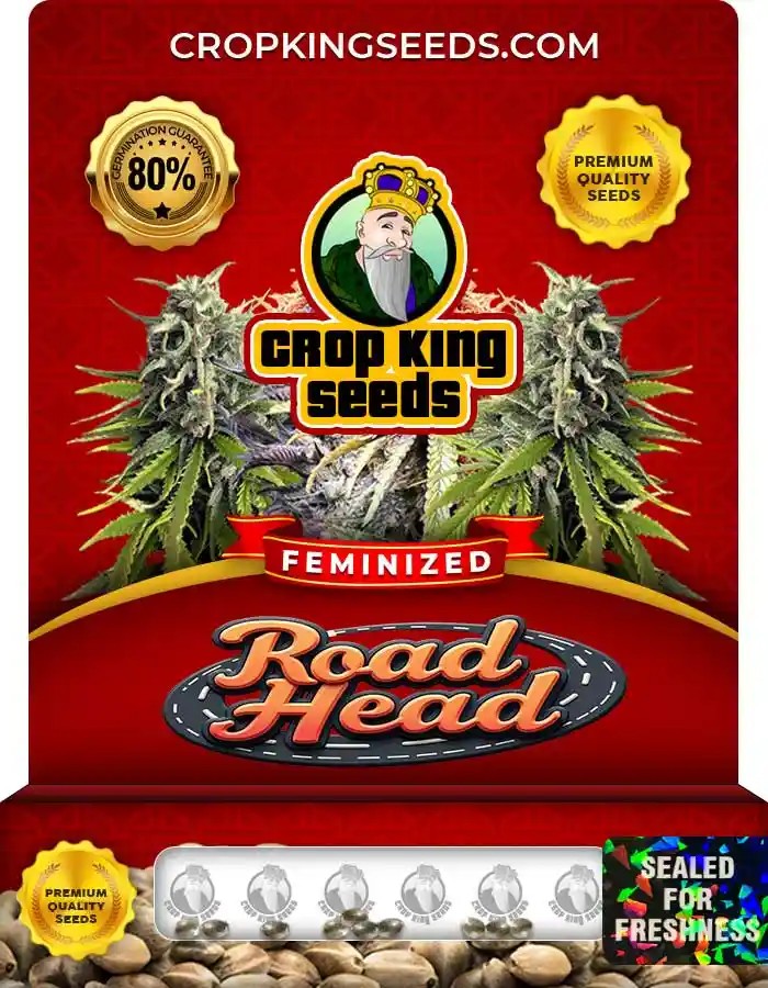Road Head Feminized Seeds