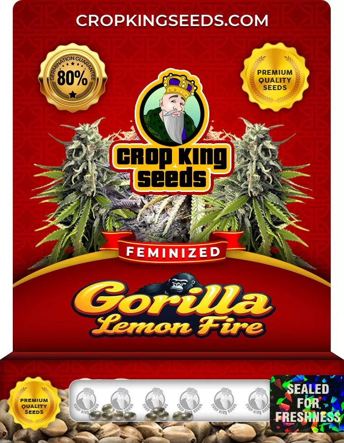 Gorilla Lemon Fire Feminized Marijuana Seeds