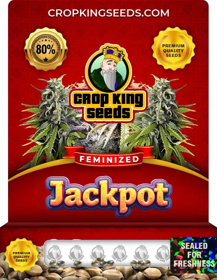 Jackpot Feminized Seeds