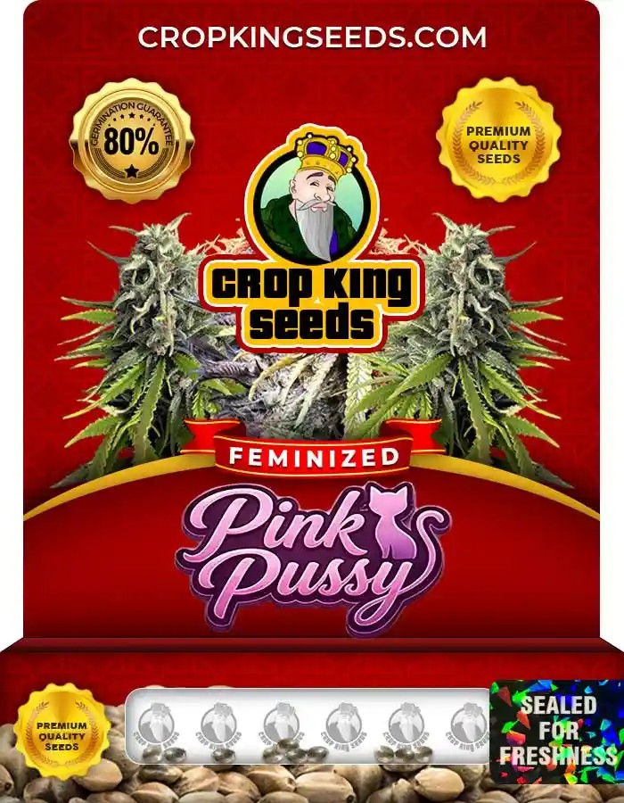 Pink Pussy Strain Feminized Marijuana Seeds