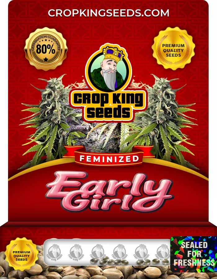 Early Girl Feminized Marijuana Seeds