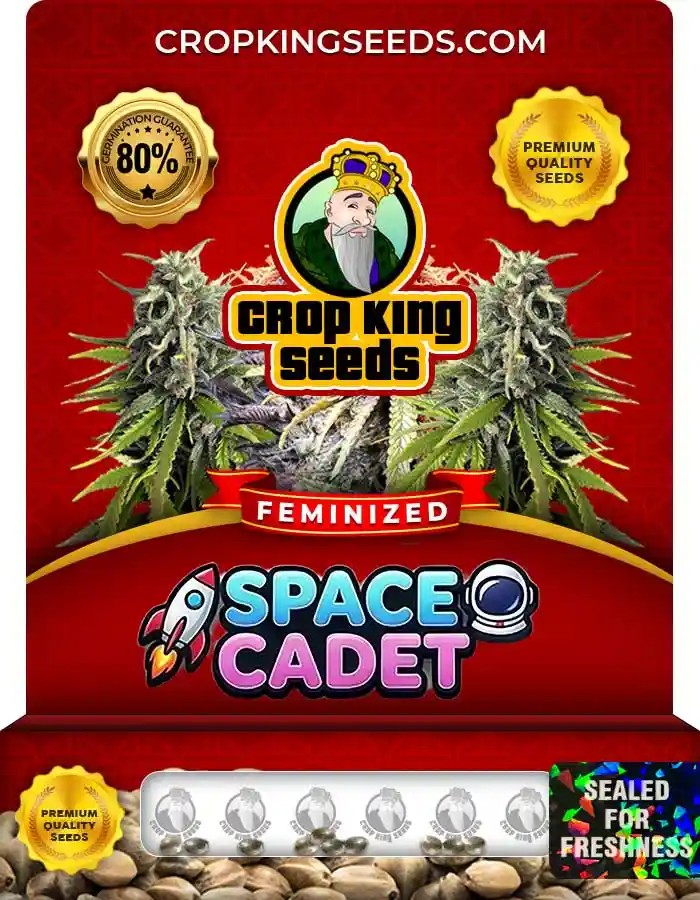 Space Cadet Feminized Seeds