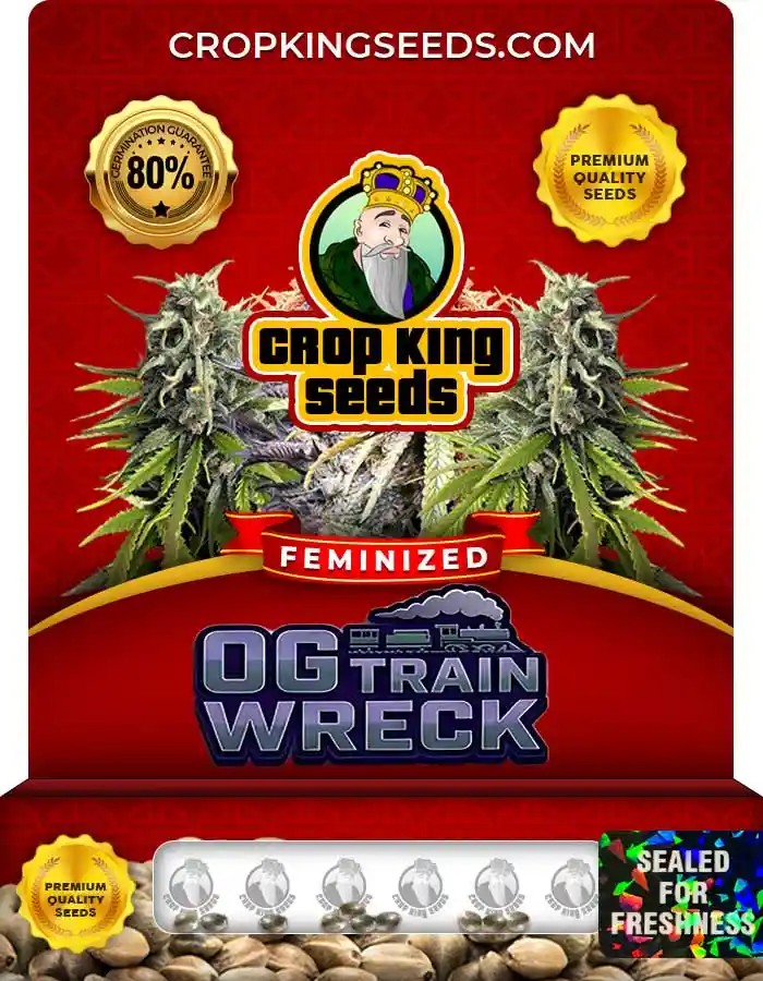 OG Train Wreck Strain Feminized Seeds