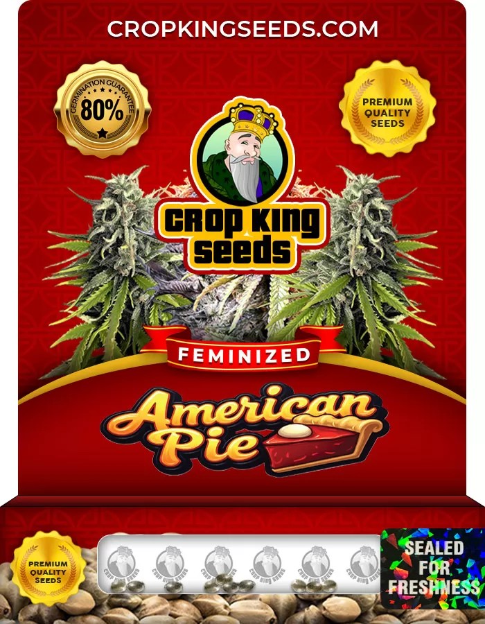 American Pie Feminized Marijuana Seeds