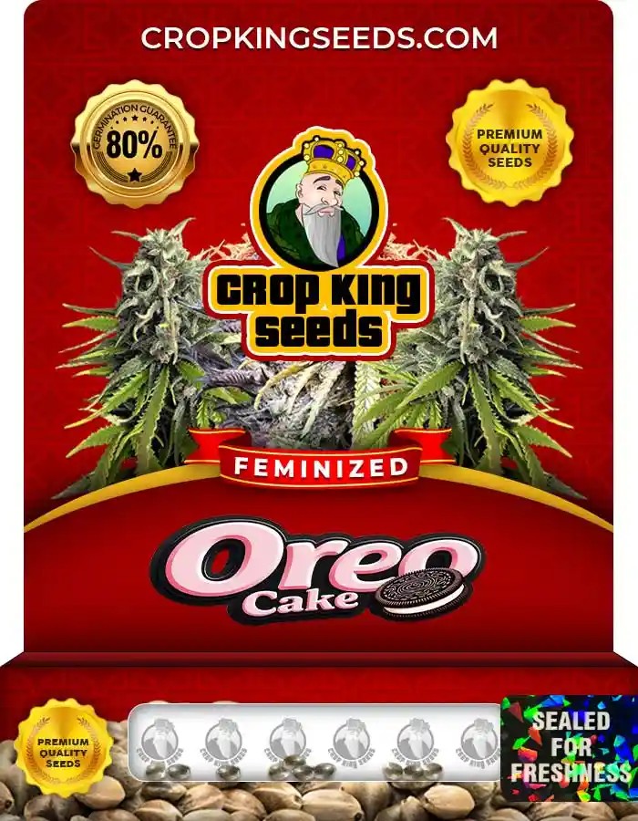 Oreo Cake Strain Feminized Marijuana Seeds