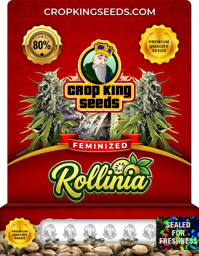 Rollinia Feminized Seeds