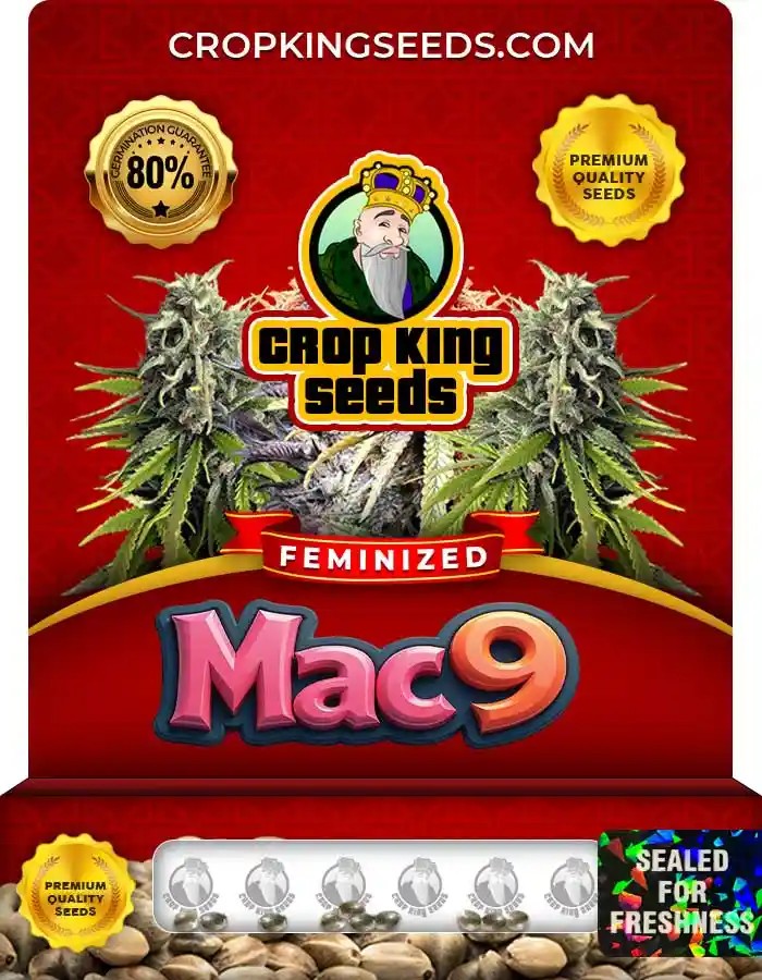 Mac 9 Feminized Seeds