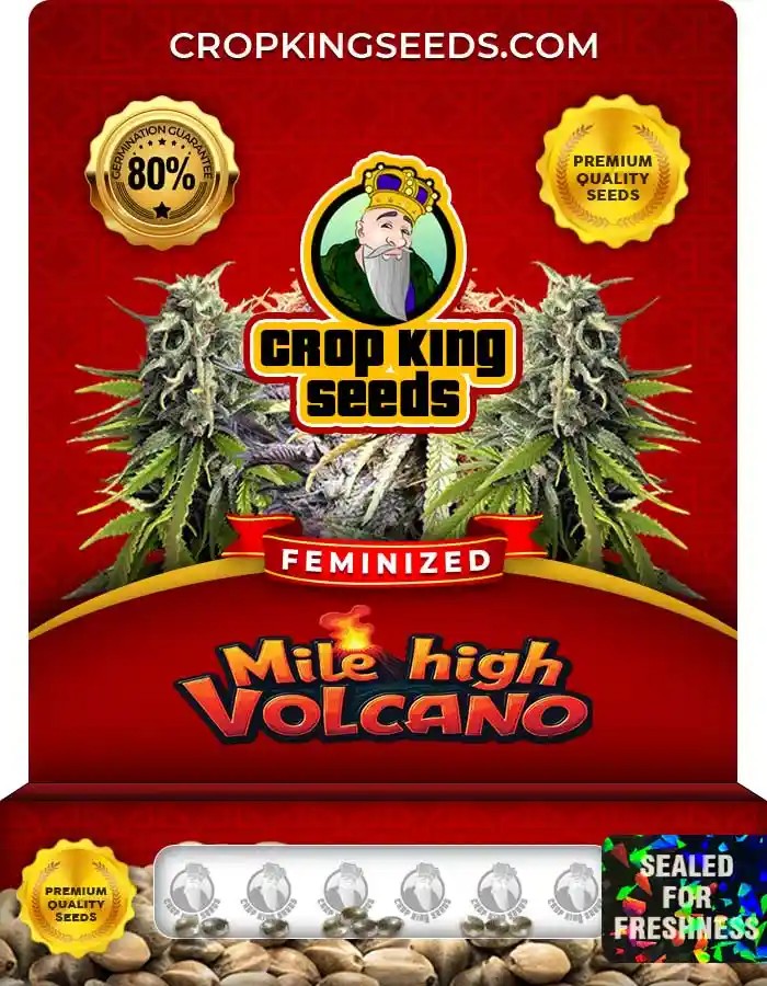 Mile High Volcano Feminized Seeds