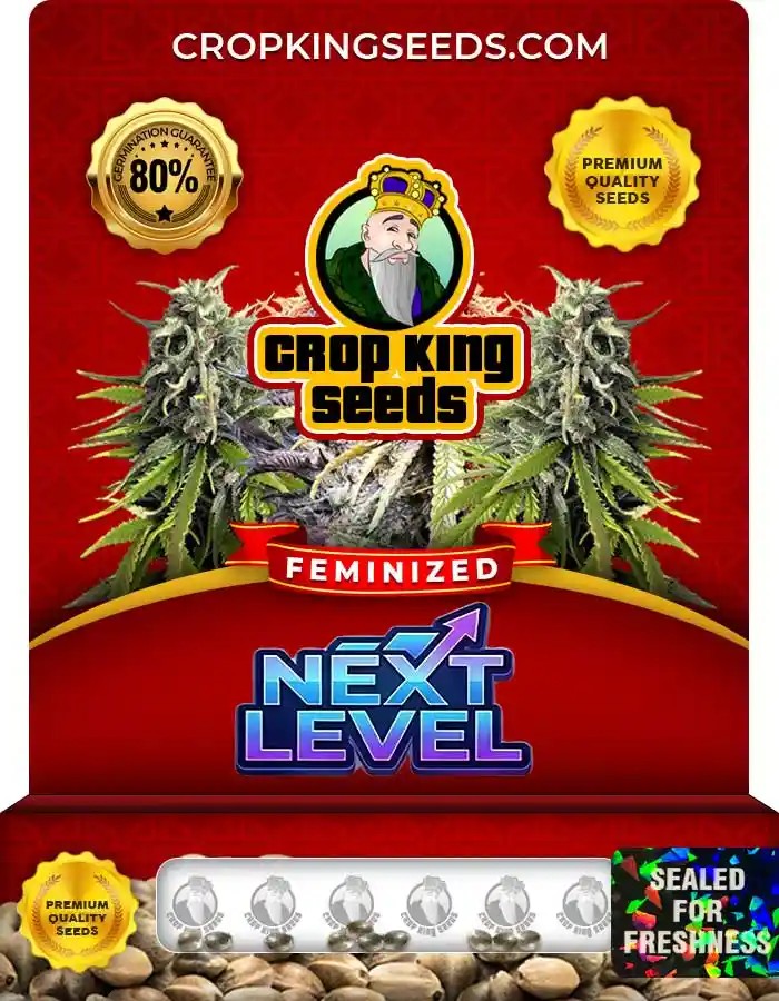 Next Level Strain Feminized Marijuana Seeds