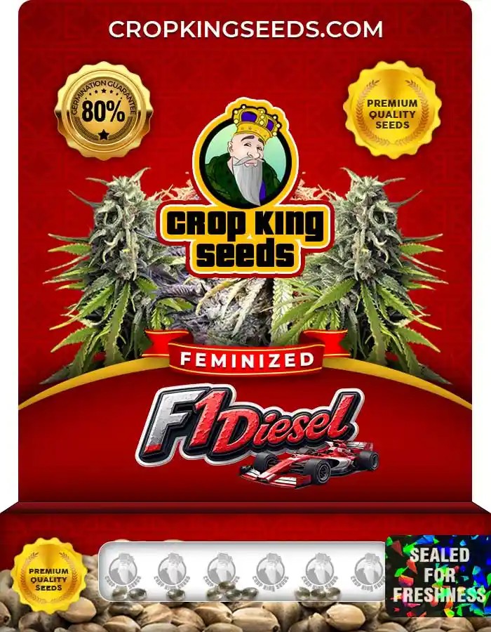 F1 Diesel Strain Feminized Seeds